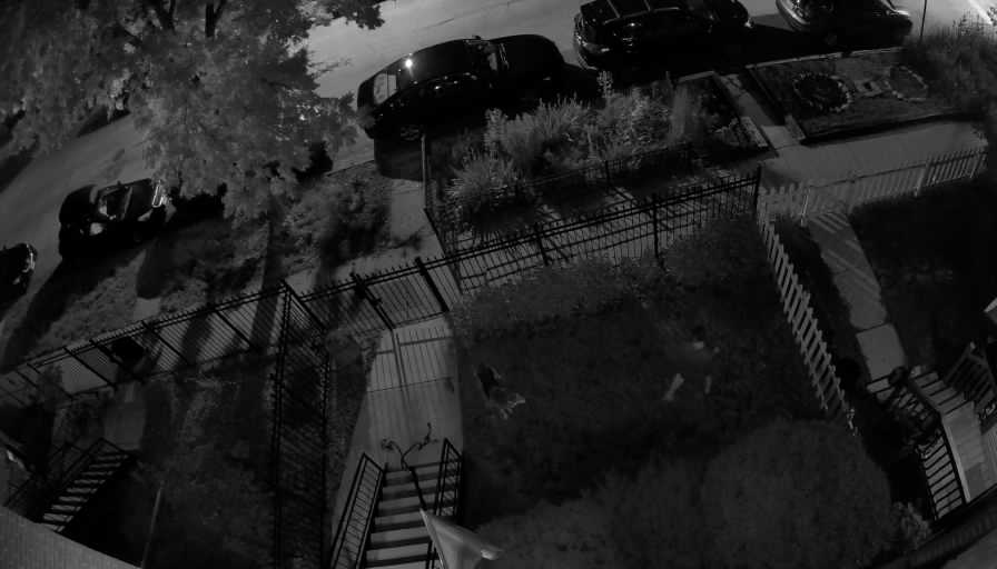 Reolink Camera One_00_Reolink Home Hub One_20260619231922.jpg